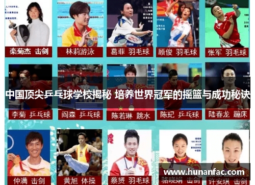 中国顶尖乒乓球学校揭秘 培养世界冠军的摇篮与成功秘诀